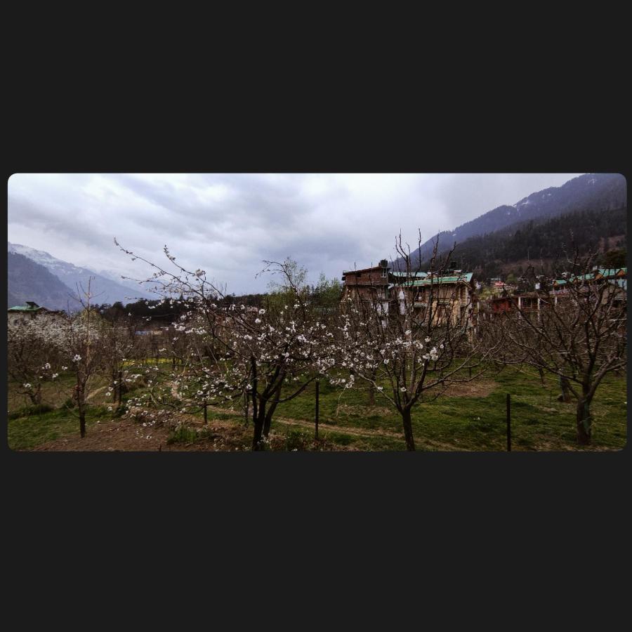 Yolo Backpackers - Manali Hostel Екстериор снимка