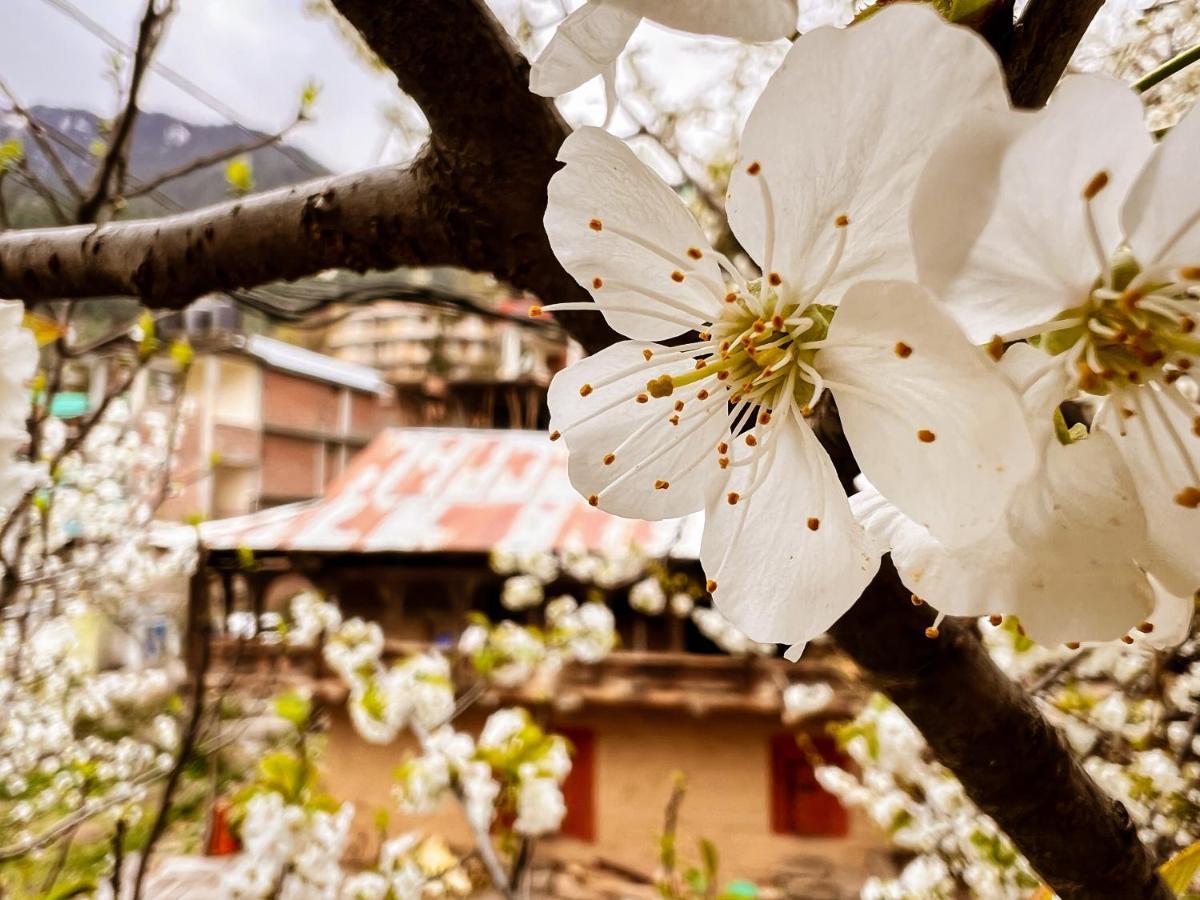 Yolo Backpackers - Manali Hostel Екстериор снимка